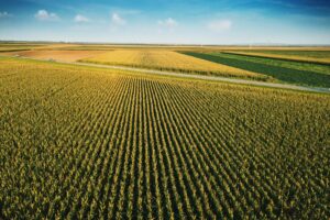 new-holland-custom-clothes